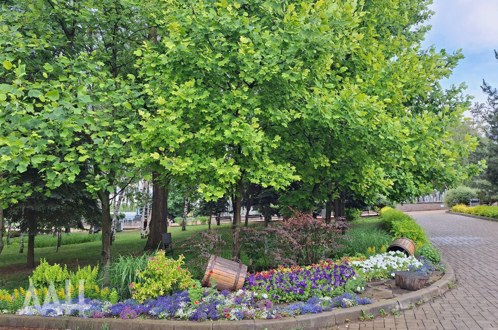 Фото: Донецкое агентство новостей