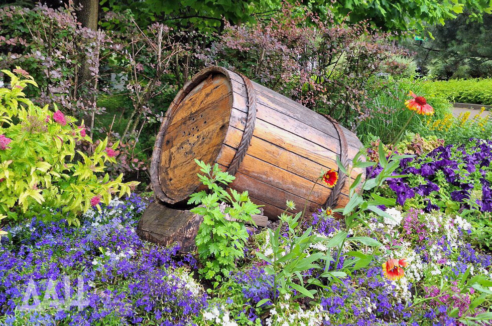 Фото: Донецкое агентство новостей