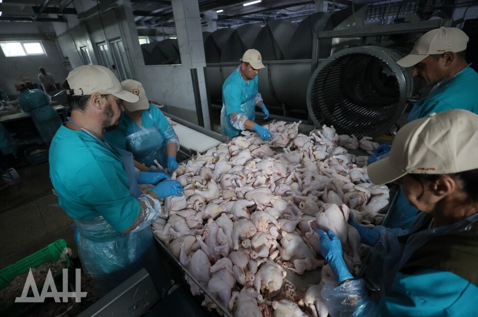 Фото: Донецкое агентство новостей