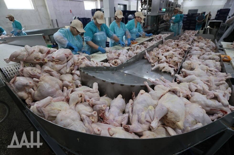 Фото: Донецкое агентство новостей