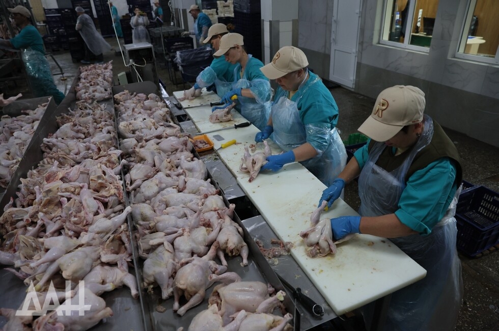 Фото: Донецкое агентство новостей