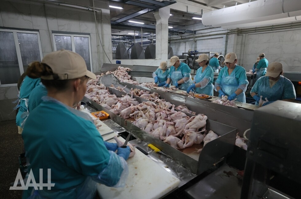 Фото: Донецкое агентство новостей