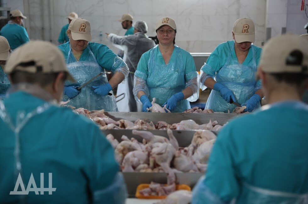 Фото: Донецкое агентство новостей