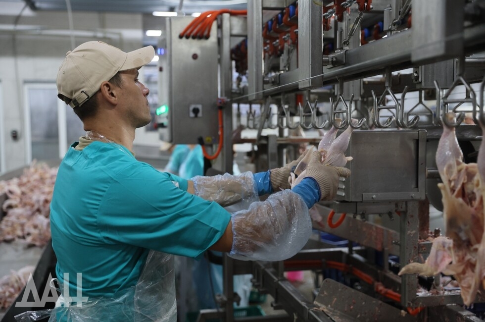 Фото: Донецкое агентство новостей