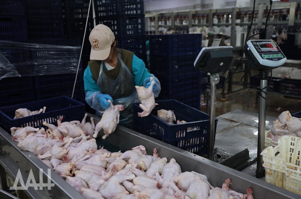 Фото: Донецкое агентство новостей