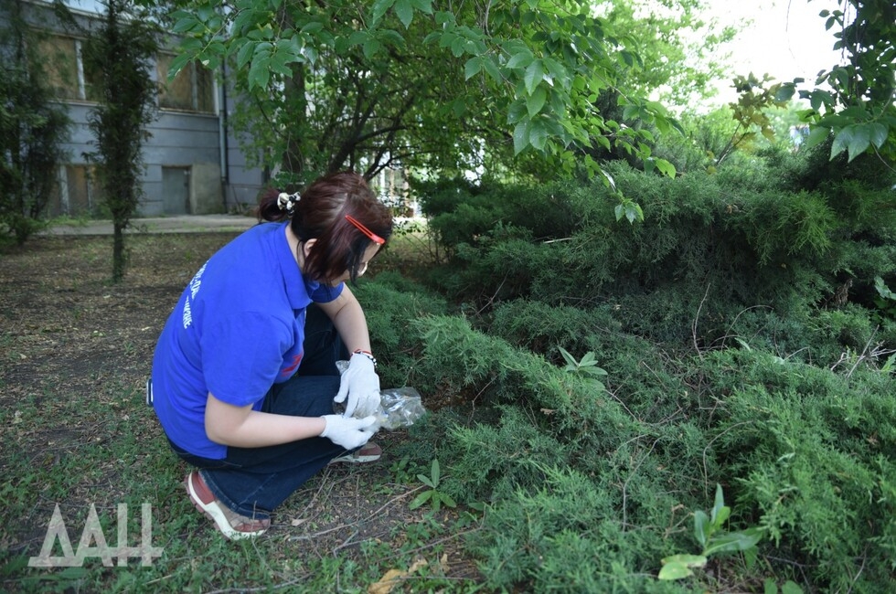 Фото: Донецкое агентство новостей