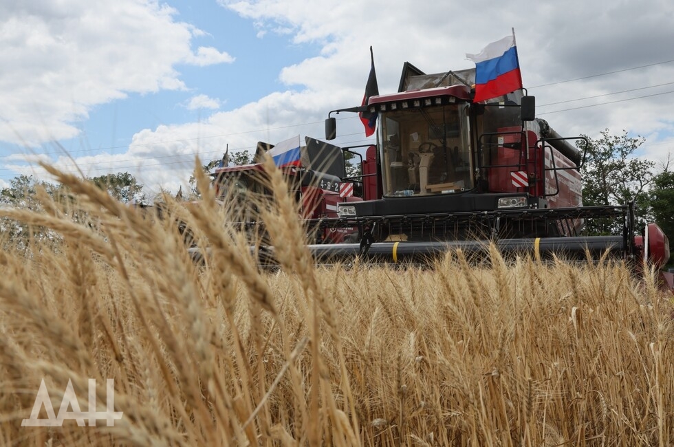 Фото: Донецкое агентство новостей