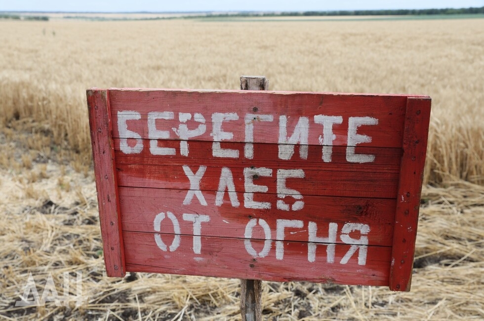 Фото: Донецкое агентство новостей