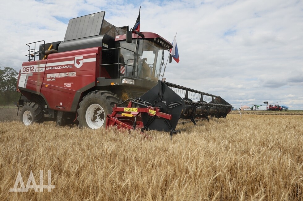 Фото: Донецкое агентство новостей