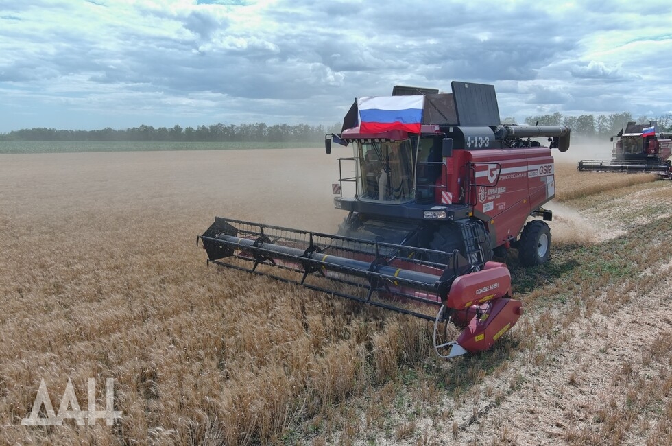 Фото: Донецкое агентство новостей