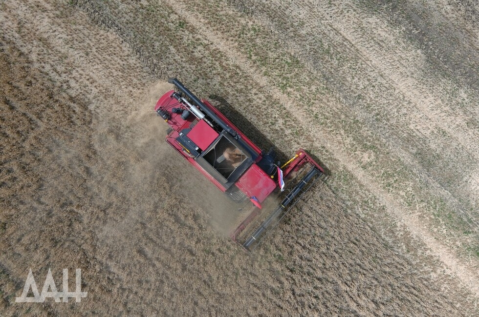 Фото: Донецкое агентство новостей