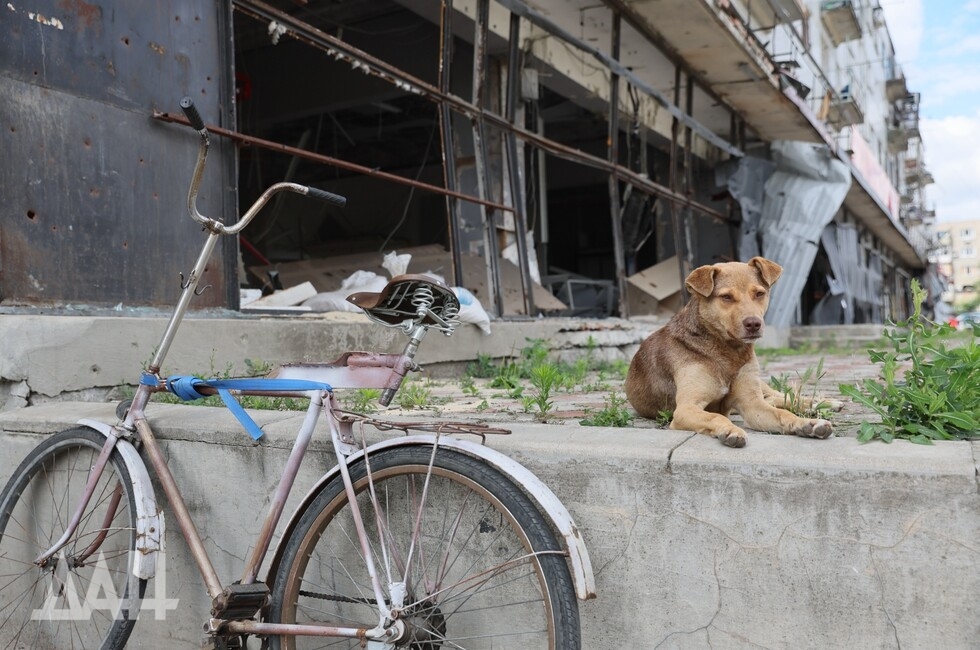 Фото: Донецкое агентство новостей