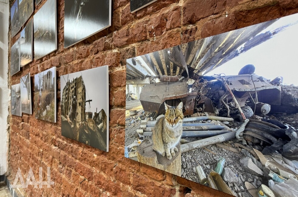 Фото: Донецкое агентство новостей