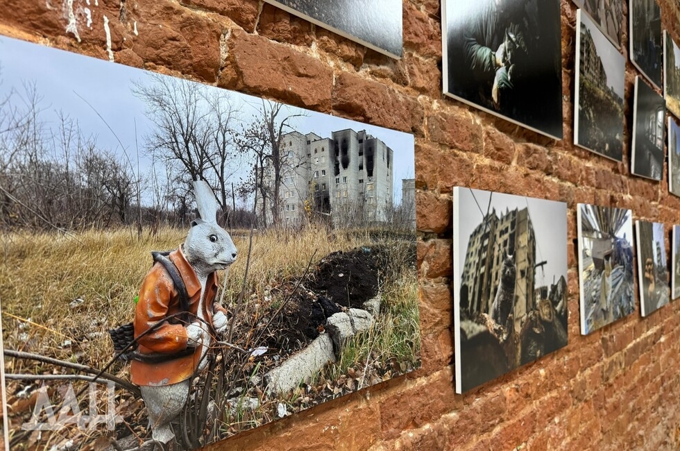 Фото: Донецкое агентство новостей