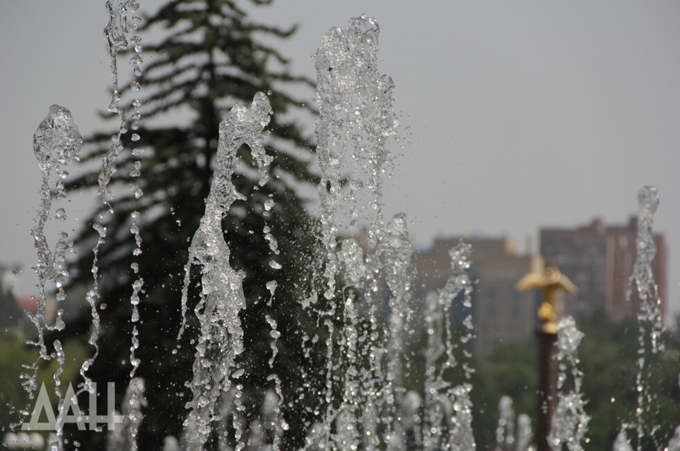 Фото: Донецкое агентство новостей