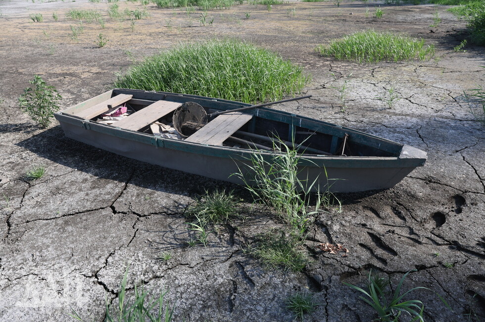 Фото: Донецкое агентство новостей