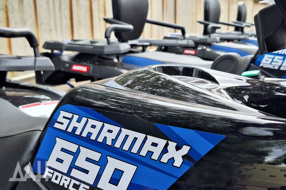 Фото: Донецкое агентство новостей