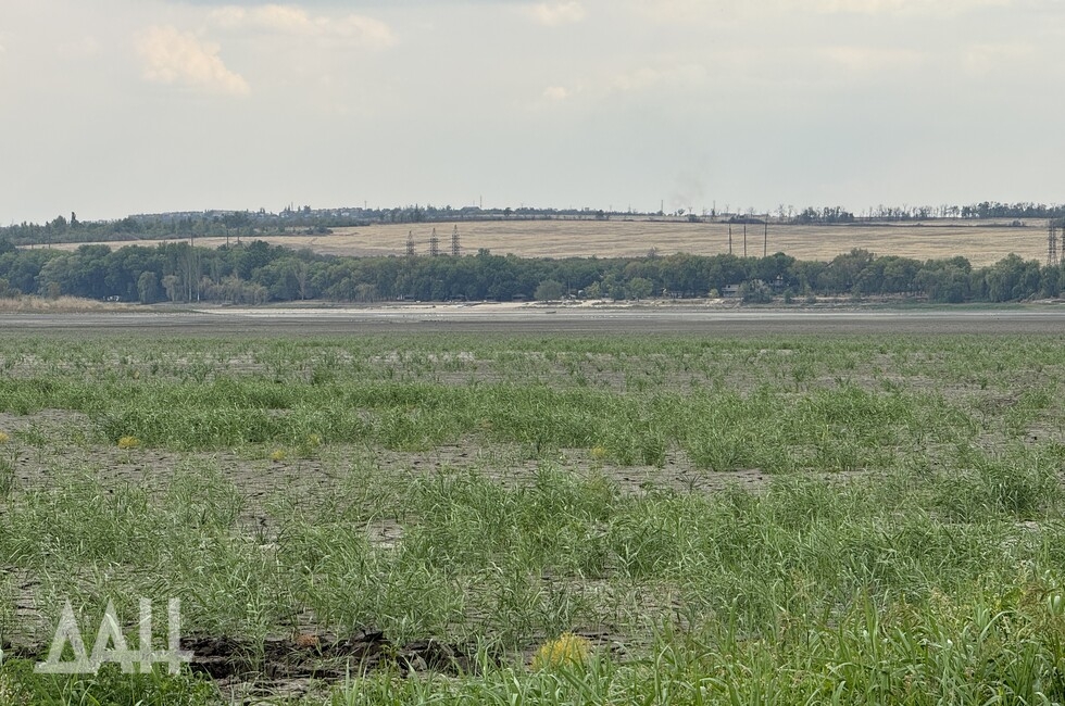 Фото: Донецкое агентство новостей