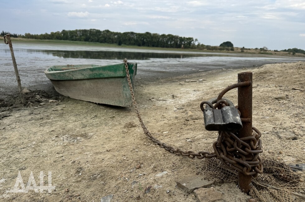 Фото: Донецкое агентство новостей