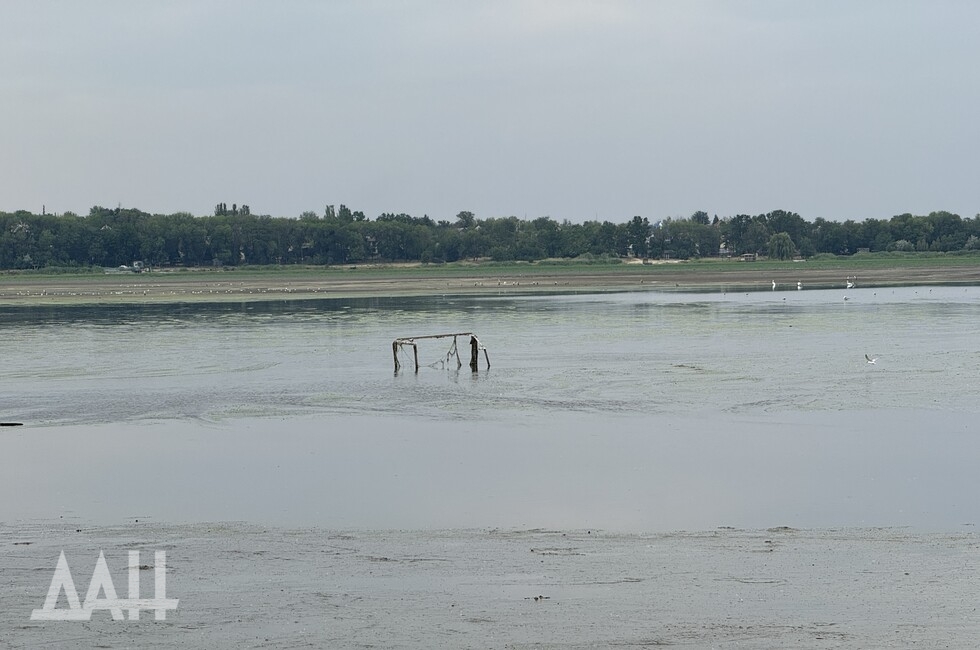 Фото: Донецкое агентство новостей