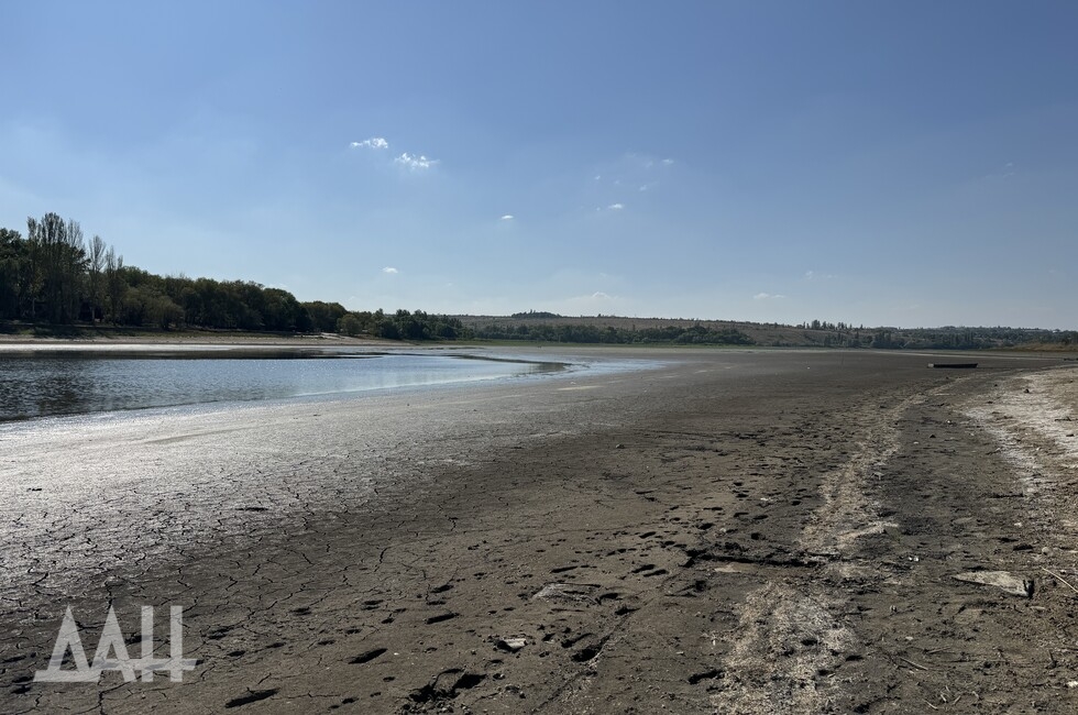 Фото: Донецкое агентство новостей