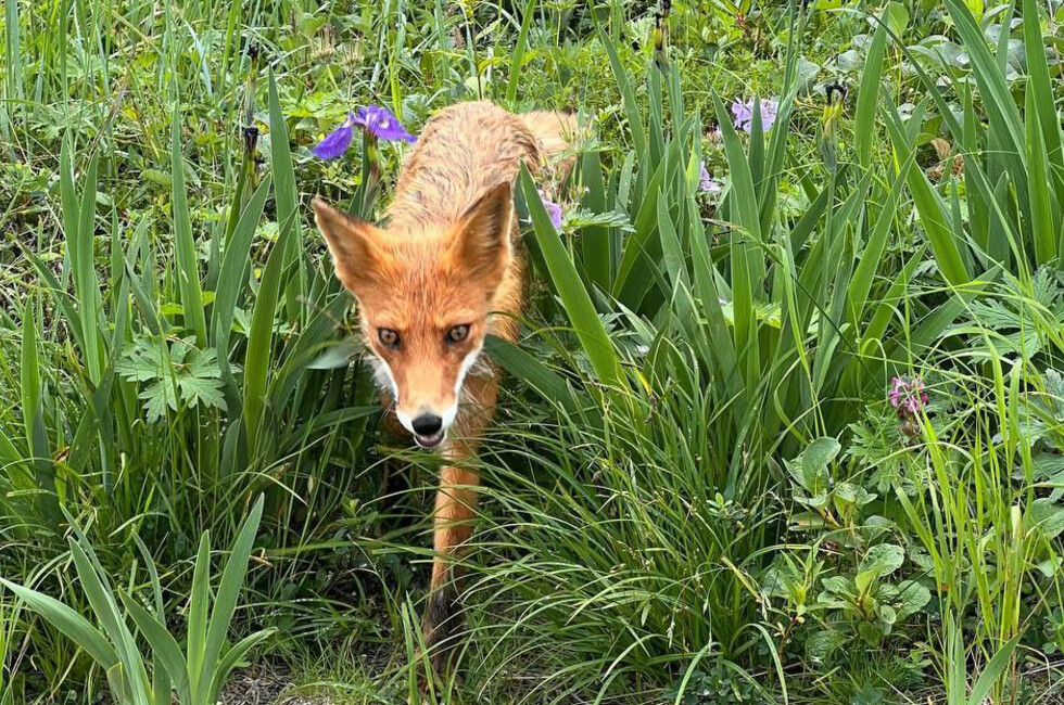 Фото предоставила Рита Лыга