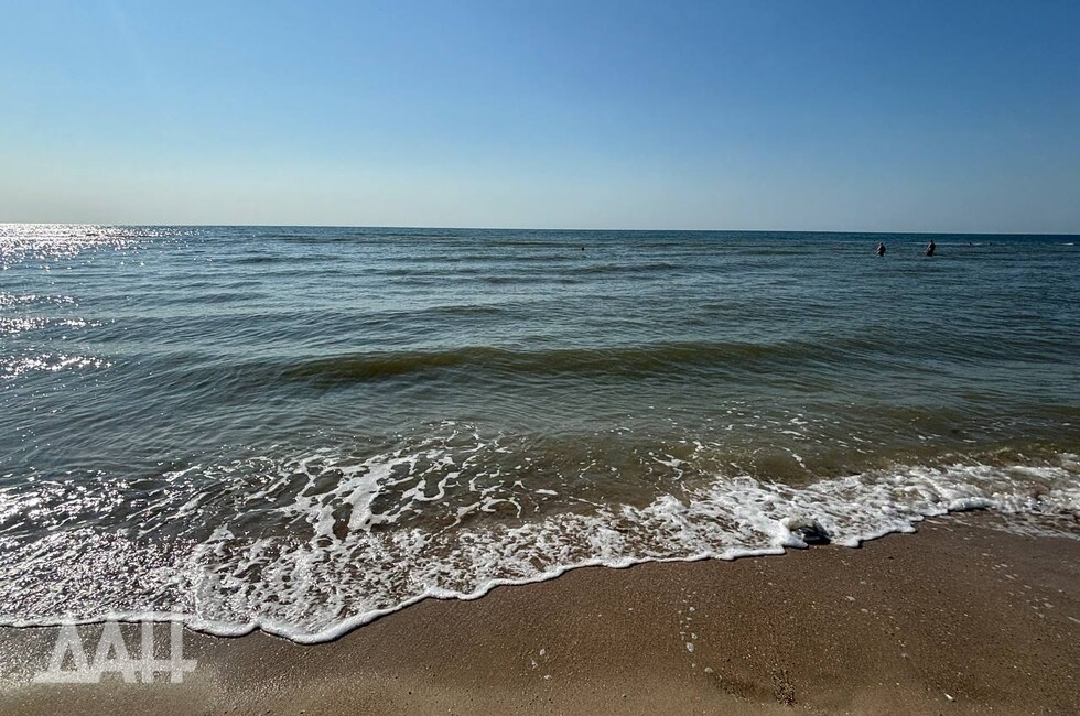 Фото: Донецкое агентство новостей