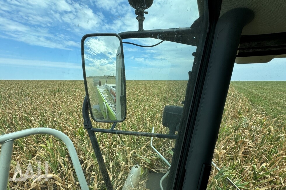 Фото: Донецкое агентство новостей