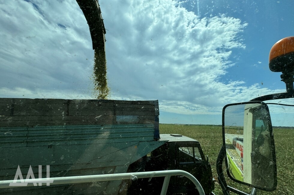 Фото: Донецкое агентство новостей