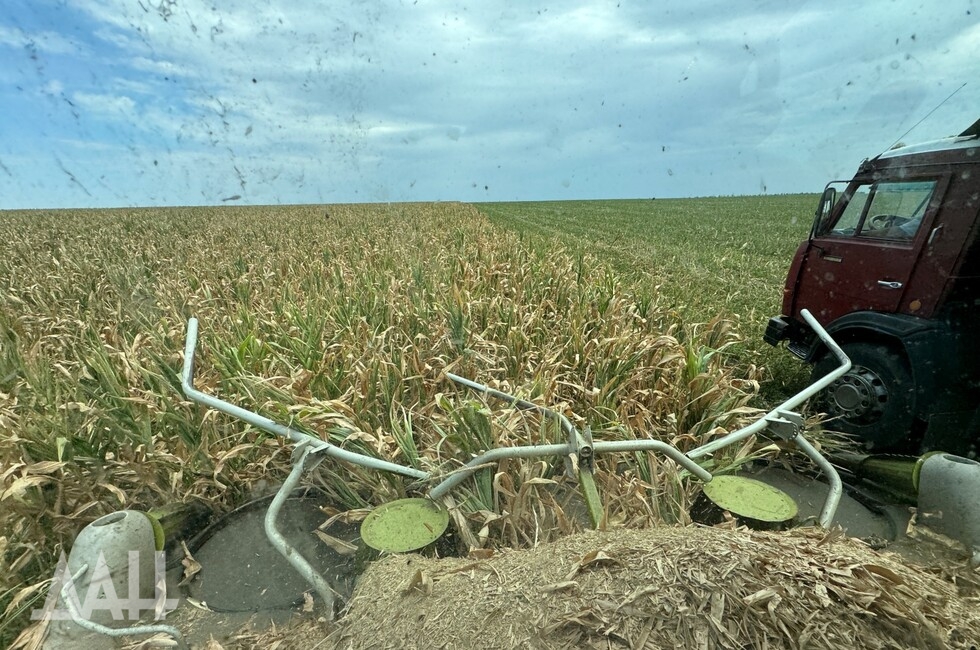 Фото: Донецкое агентство новостей
