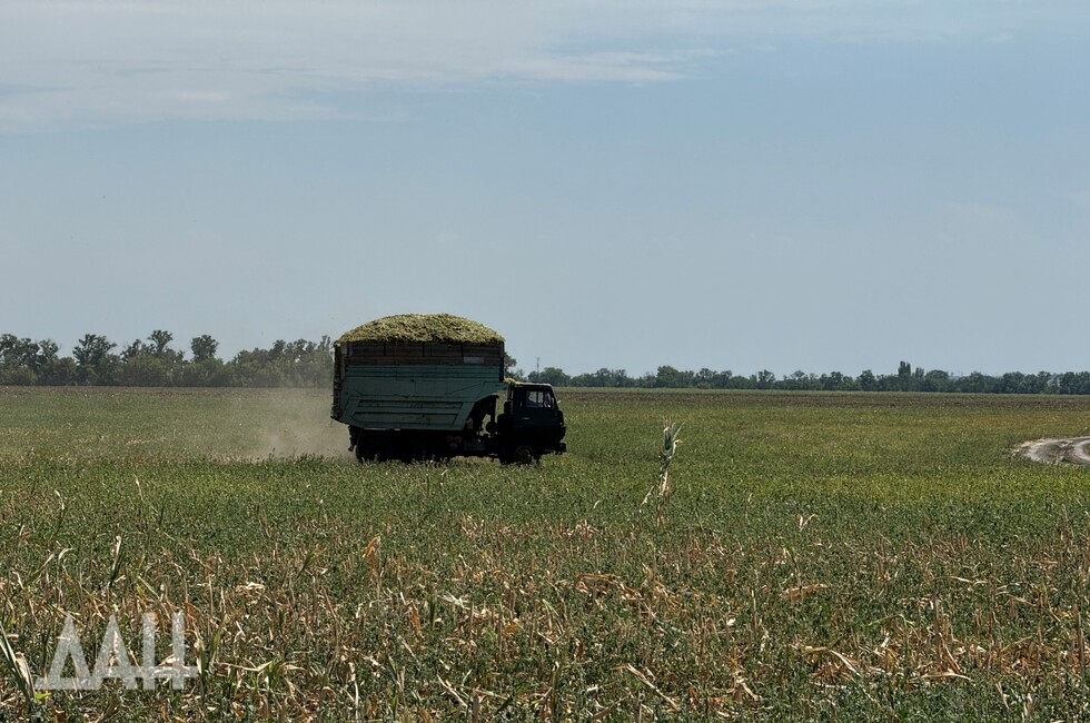 Фото: Донецкое агентство новостей