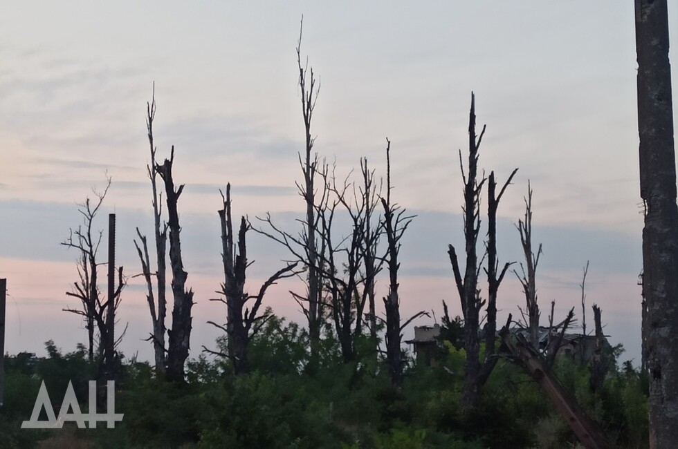Фото: Донецкое агентство новостей