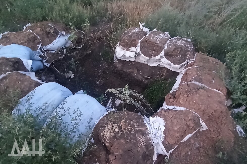 Фото: Донецкое агентство новостей