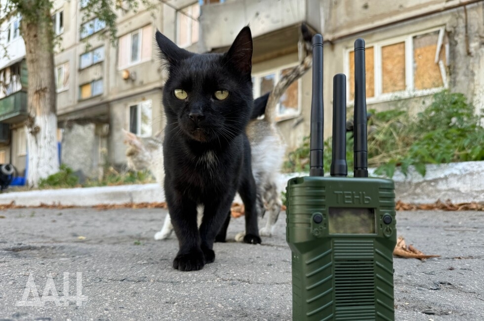 Фото: Донецкое агентство новостей