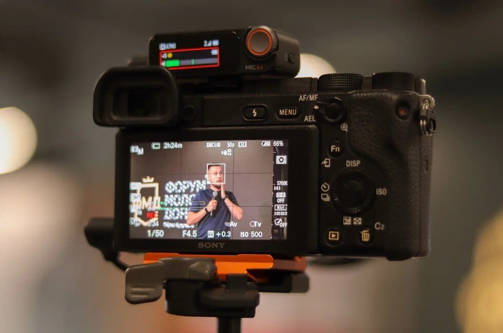 Фото: пресс-служба Министерства молодежной политики ДНР