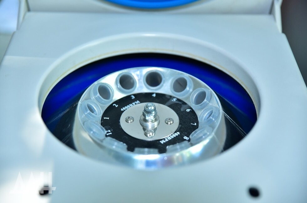 Фото: Донецкое агентство новостей