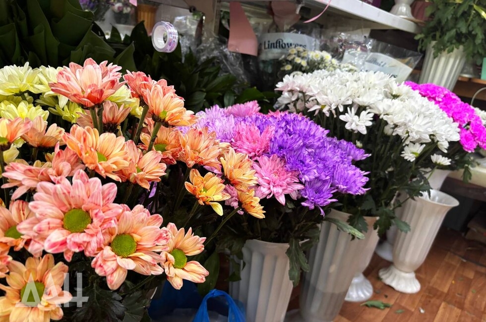 Фото: Донецкое агентство новостей