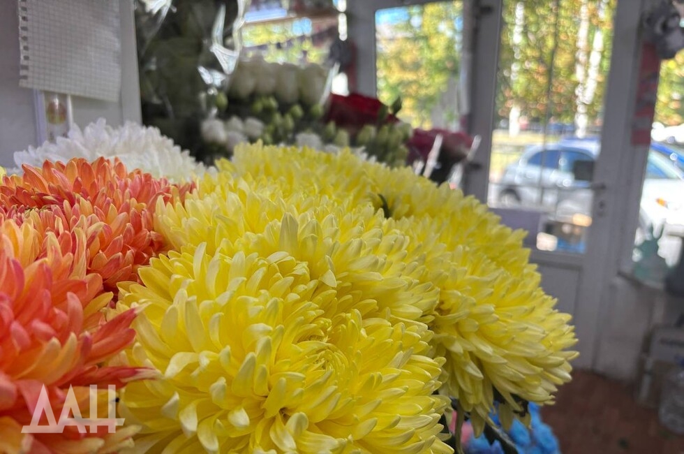 Фото: Донецкое агентство новостей