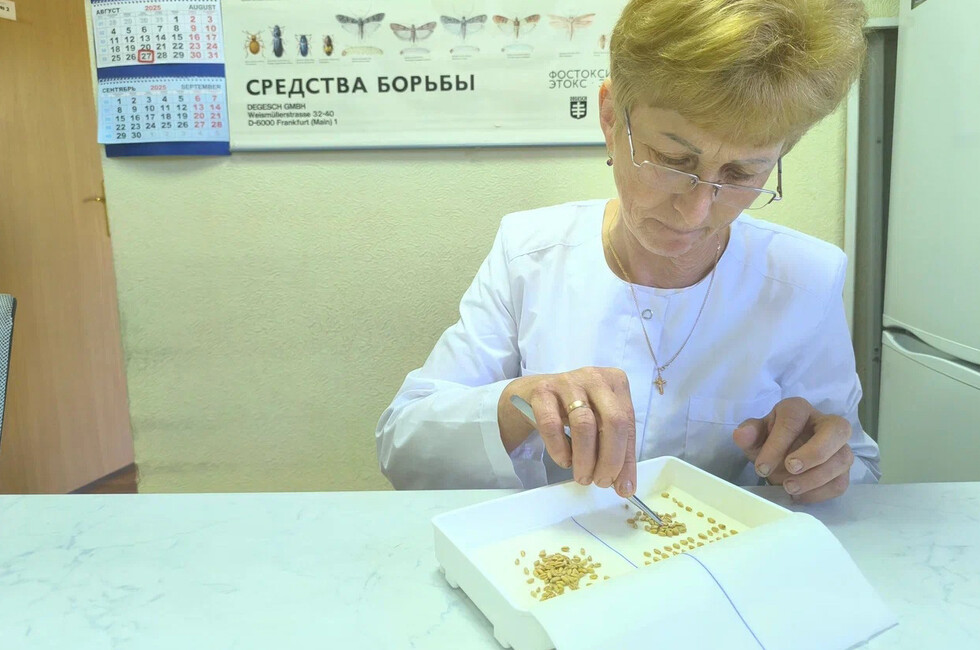 Фото: пресс-служба Россельхозцентра