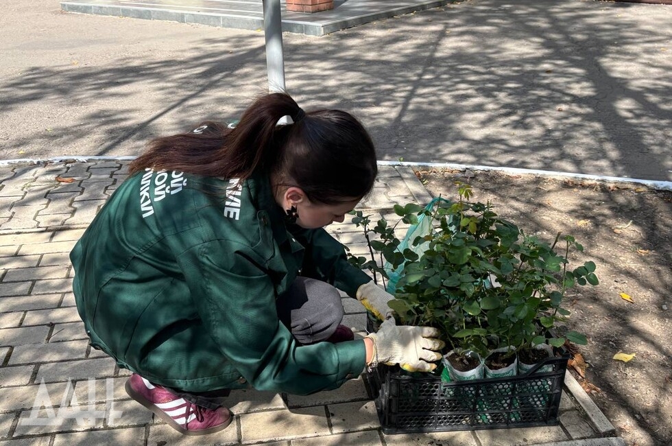 Фото: Донецкое агентство новостей