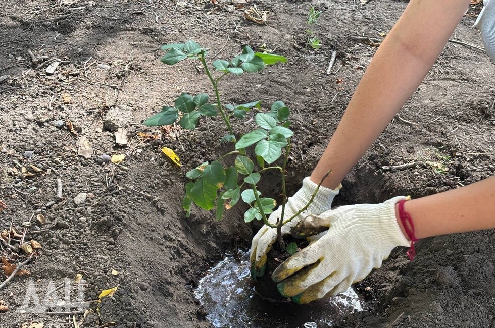 Фото: Донецкое агентство новостей