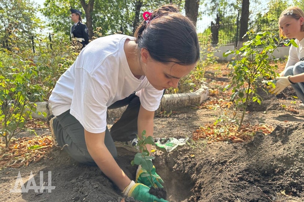 Фото: Донецкое агентство новостей