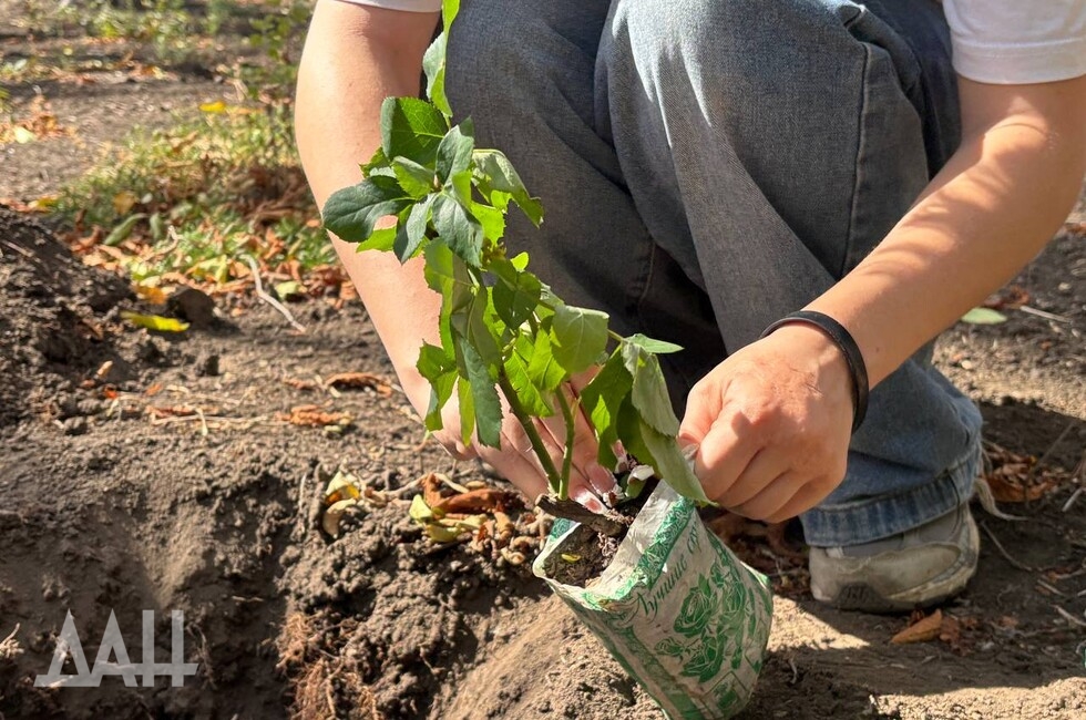 Фото: Донецкое агентство новостей