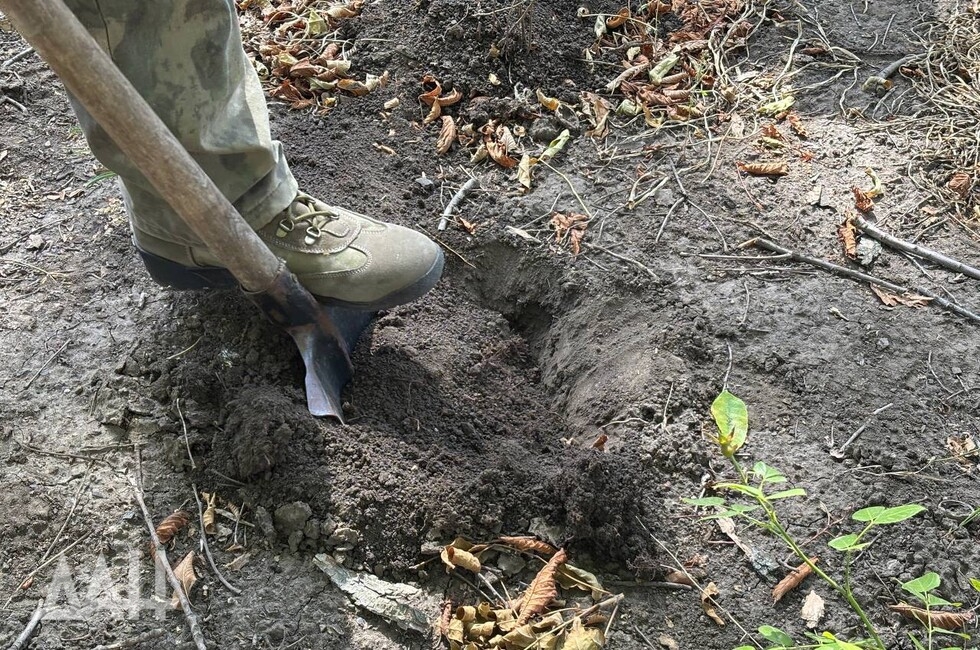 Фото: Донецкое агентство новостей