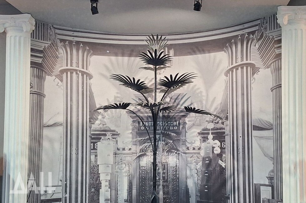 Фото: Донецкое агентство новостей