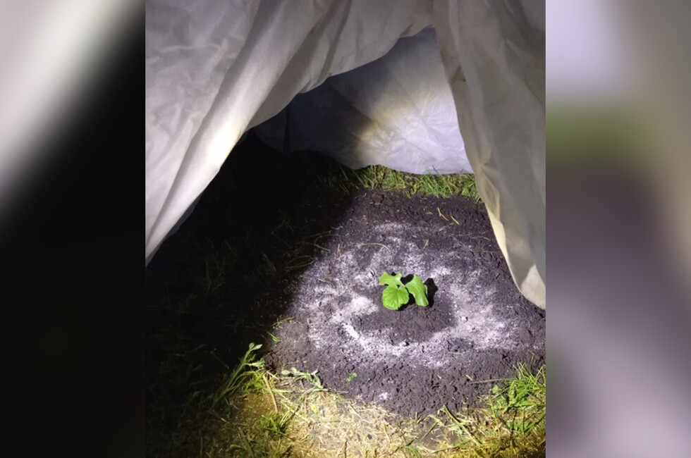 Фото: из личного архива