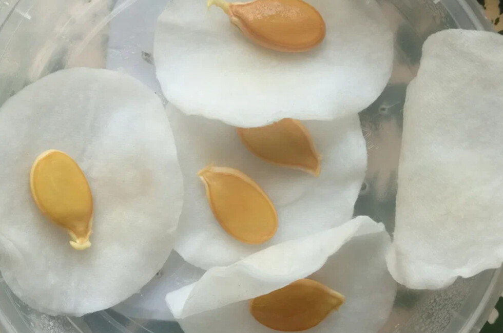 Фото: из личного архива