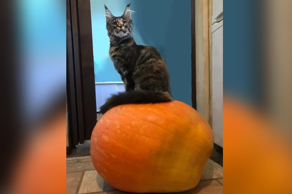 Фото: из личного архива