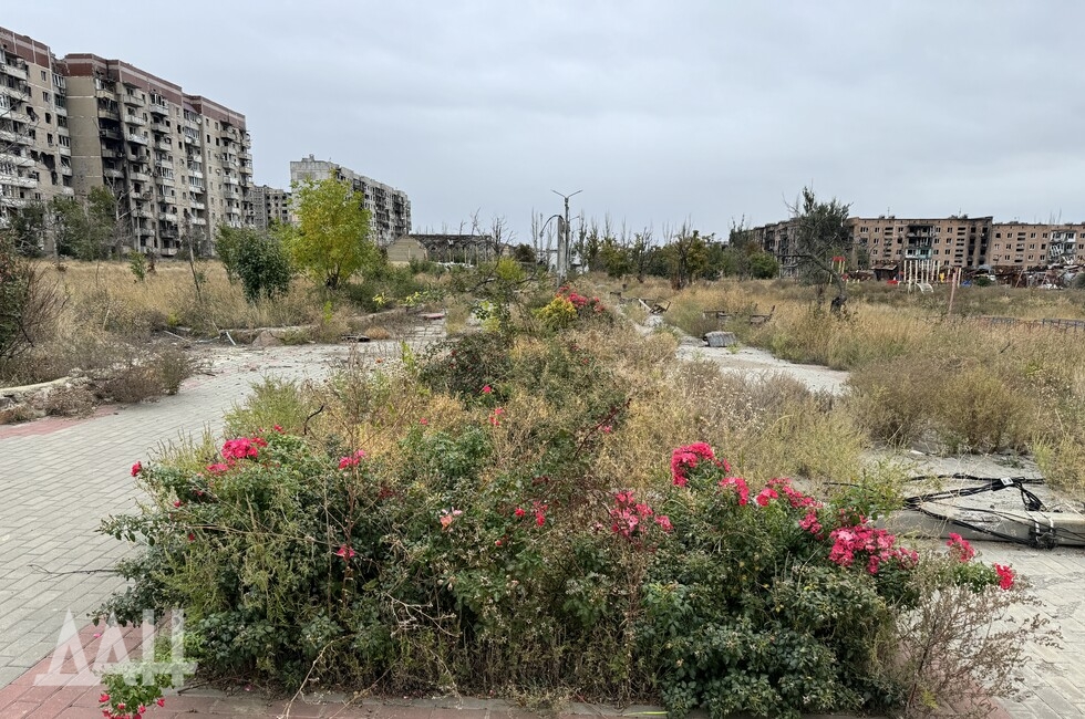 Фото: Донецкое агентство новостей