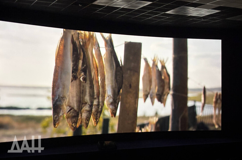 Фото: Донецкое агентство новостей